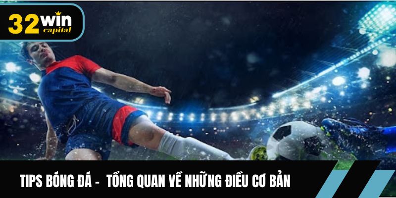 Tips bóng đá- Trải nghiệm tổng quan về những điều cơ bản